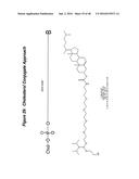 CHEMICALLY MODIFIED SHORT INTERFERING NUCLEIC ACID MOLECULES THAT MEDIATE     RNA INTERFERENCE diagram and image