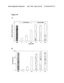 CHEMICALLY MODIFIED SHORT INTERFERING NUCLEIC ACID MOLECULES THAT MEDIATE     RNA INTERFERENCE diagram and image