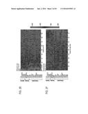 RECOMBINANT PROTEIN PRODUCTION IN HETEROLOGOUS SYSTEMS diagram and image