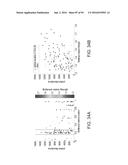 RECOMBINANT PROTEIN PRODUCTION IN HETEROLOGOUS SYSTEMS diagram and image