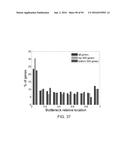 RECOMBINANT PROTEIN PRODUCTION IN HETEROLOGOUS SYSTEMS diagram and image