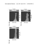 RECOMBINANT PROTEIN PRODUCTION IN HETEROLOGOUS SYSTEMS diagram and image