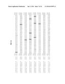 RHIZOMANIA-RESISTANT GENE diagram and image