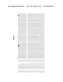 RHIZOMANIA-RESISTANT GENE diagram and image