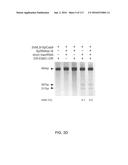 DELIVERY, ENGINEERING AND OPTIMIZATION OF SYSTEMS, METHODS AND     COMPOSITIONS FOR TARGETING AND MODELING DISEASES AND DISORDERS OF POST     MITOTIC CELLS diagram and image