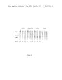 DELIVERY, ENGINEERING AND OPTIMIZATION OF SYSTEMS, METHODS AND     COMPOSITIONS FOR TARGETING AND MODELING DISEASES AND DISORDERS OF POST     MITOTIC CELLS diagram and image