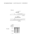 DELIVERY, ENGINEERING AND OPTIMIZATION OF SYSTEMS, METHODS AND     COMPOSITIONS FOR TARGETING AND MODELING DISEASES AND DISORDERS OF POST     MITOTIC CELLS diagram and image