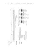 DELIVERY, ENGINEERING AND OPTIMIZATION OF SYSTEMS, METHODS AND     COMPOSITIONS FOR TARGETING AND MODELING DISEASES AND DISORDERS OF POST     MITOTIC CELLS diagram and image