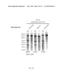 DELIVERY, ENGINEERING AND OPTIMIZATION OF SYSTEMS, METHODS AND     COMPOSITIONS FOR TARGETING AND MODELING DISEASES AND DISORDERS OF POST     MITOTIC CELLS diagram and image