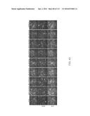 DELIVERY, ENGINEERING AND OPTIMIZATION OF SYSTEMS, METHODS AND     COMPOSITIONS FOR TARGETING AND MODELING DISEASES AND DISORDERS OF POST     MITOTIC CELLS diagram and image