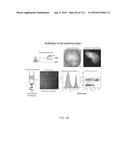 DELIVERY, ENGINEERING AND OPTIMIZATION OF SYSTEMS, METHODS AND     COMPOSITIONS FOR TARGETING AND MODELING DISEASES AND DISORDERS OF POST     MITOTIC CELLS diagram and image