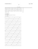 COMPOSITIONS AND METHODS FOR THE BIOSYNTHESIS OF VANILLIN OR VANILLIN     BETA-D-GLUCOSIDE diagram and image