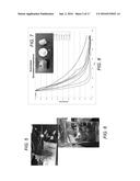 INDIVIDUALLY TRACEABLE MULTI-FUNCTIONAL CARRIER PARTICLES FOR VALIDATION     OF CONTINUOUS FLOW THERMAL PROCESSING OF PARTICLE-CONTAINING FOODS AND     BIOMATERIALS diagram and image