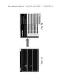 INDIVIDUALLY TRACEABLE MULTI-FUNCTIONAL CARRIER PARTICLES FOR VALIDATION     OF CONTINUOUS FLOW THERMAL PROCESSING OF PARTICLE-CONTAINING FOODS AND     BIOMATERIALS diagram and image