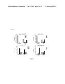 MARKERS TO PREDICT MACROCYCLIC LACTONE DRUG RESISTANCE IN DIROFILARIA     IMMITIS, THE CAUSATIVE AGENT OF HEARTWORM DISEASE diagram and image