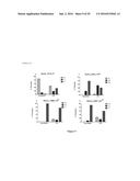 MARKERS TO PREDICT MACROCYCLIC LACTONE DRUG RESISTANCE IN DIROFILARIA     IMMITIS, THE CAUSATIVE AGENT OF HEARTWORM DISEASE diagram and image