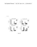 MARKERS TO PREDICT MACROCYCLIC LACTONE DRUG RESISTANCE IN DIROFILARIA     IMMITIS, THE CAUSATIVE AGENT OF HEARTWORM DISEASE diagram and image