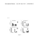 MARKERS TO PREDICT MACROCYCLIC LACTONE DRUG RESISTANCE IN DIROFILARIA     IMMITIS, THE CAUSATIVE AGENT OF HEARTWORM DISEASE diagram and image