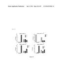 MARKERS TO PREDICT MACROCYCLIC LACTONE DRUG RESISTANCE IN DIROFILARIA     IMMITIS, THE CAUSATIVE AGENT OF HEARTWORM DISEASE diagram and image