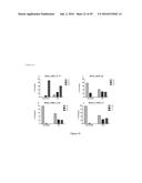 MARKERS TO PREDICT MACROCYCLIC LACTONE DRUG RESISTANCE IN DIROFILARIA     IMMITIS, THE CAUSATIVE AGENT OF HEARTWORM DISEASE diagram and image