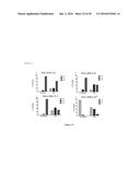 MARKERS TO PREDICT MACROCYCLIC LACTONE DRUG RESISTANCE IN DIROFILARIA     IMMITIS, THE CAUSATIVE AGENT OF HEARTWORM DISEASE diagram and image