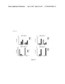 MARKERS TO PREDICT MACROCYCLIC LACTONE DRUG RESISTANCE IN DIROFILARIA     IMMITIS, THE CAUSATIVE AGENT OF HEARTWORM DISEASE diagram and image