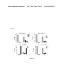 MARKERS TO PREDICT MACROCYCLIC LACTONE DRUG RESISTANCE IN DIROFILARIA     IMMITIS, THE CAUSATIVE AGENT OF HEARTWORM DISEASE diagram and image