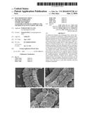 HEAT DISSIPATION SHEET MANUFACTURED USING GRAPHENE/GRAPHITE     NANOPLATE/CARBON NANOTUBE/NANO-METAL COMPLEX AND METHOD OF MANUFACTURING     THE SAME diagram and image