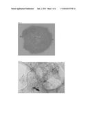 HEAT DISSIPATION SHEET MANUFACTURED USING GRAPHENE/GRAPHITE     NANOPLATE/CARBON NANOTUBE/NANO-METAL COMPLEX AND METHOD OF MANUFACTURING     THE SAME diagram and image