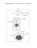 OPTICAL TRANSMISSION DEVICE, LIGHT GUIDE PLUG, OPTICAL FIBER PLUG, LIGHT     RECEPTION DEVICE, AND PORTABLE APPARATUS diagram and image