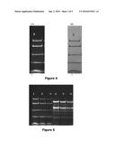 INSTANT VIEW OF PROTEIN BANDS diagram and image