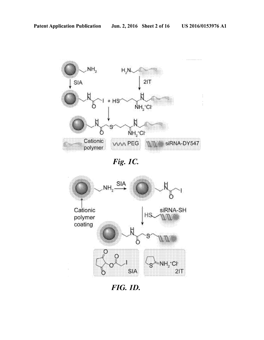 POLYARGININE-COATED MAGNETIC NANOVECTOR AND METHODS OF USE THEREOF - diagram, schematic, and image 03