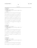 COMPOSITIONS AND METHODS FOR THE DETECTION OF ANAPLASMA PLATYS diagram and image