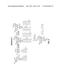 NEAR-INFRARED FLUORESCENT DYES WITH LARGE STOKES SHIFTS diagram and image