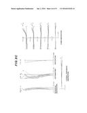 ZOOM LENS, OPTICAL APPARATUS AND MANUFACTURING METHOD FOR THE ZOOM LENS diagram and image