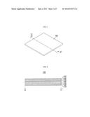 POLARIZING MEMBER AND DISPLAY DEVICE HAVING THE SAME diagram and image