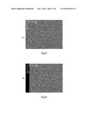 DIGITAL IMAGE CORRELATION SYSTEM AND METHOD diagram and image