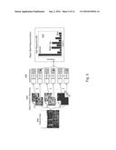 Method for Implementing a High-Level Image Representation for Image     Analysis diagram and image