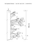 INDIVIDUAL PLANT LOCATION POSITIONING diagram and image