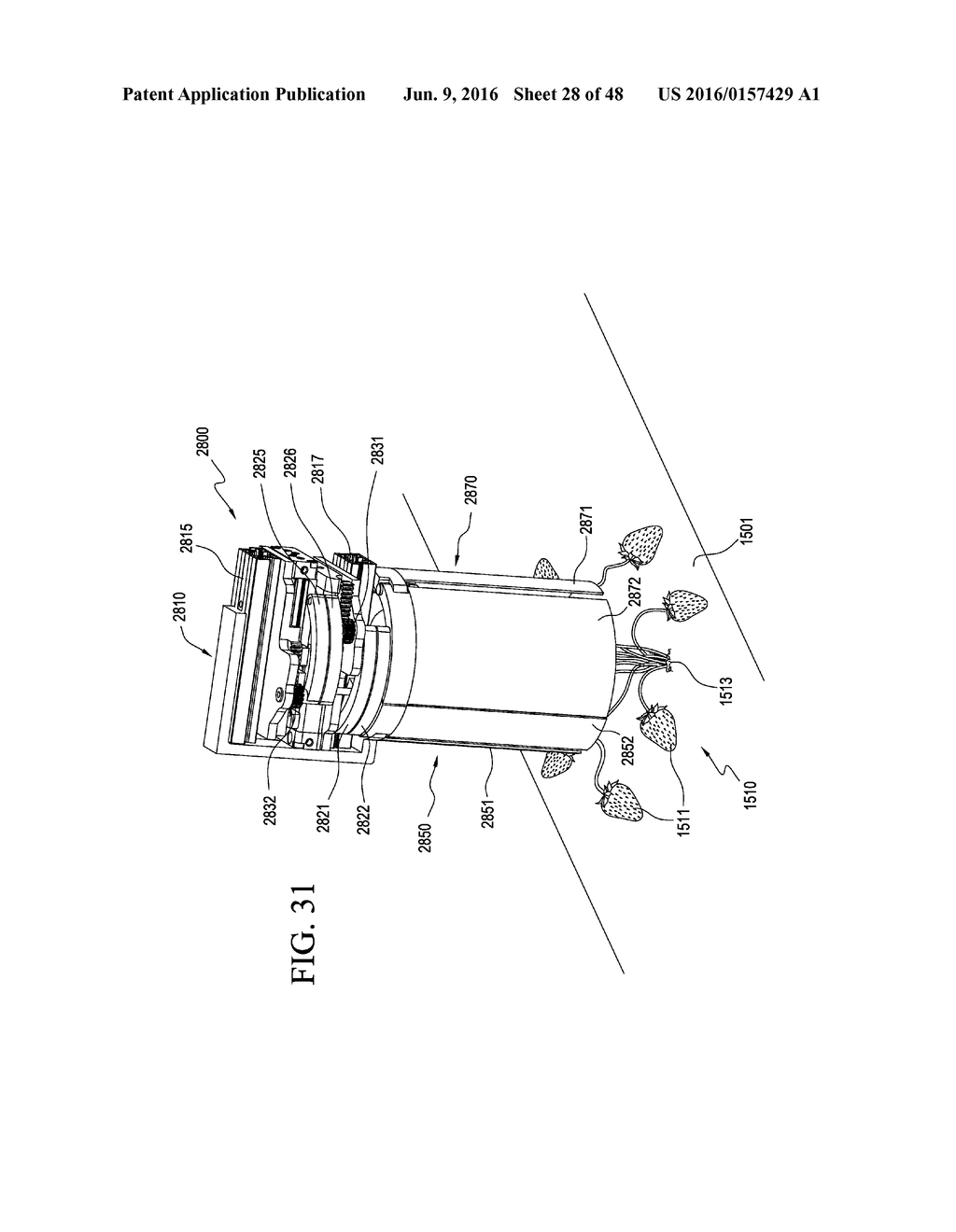 INDIVIDUAL PLANT LOCATION POSITIONING - diagram, schematic, and image 29