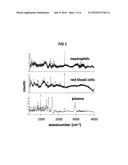 QUANTIFYING NEUTROPHIL CONCENTRATION IN BLOOD diagram and image