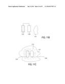 BONE IMPLANTS FOR THE TREATMENT OF INFECTION diagram and image