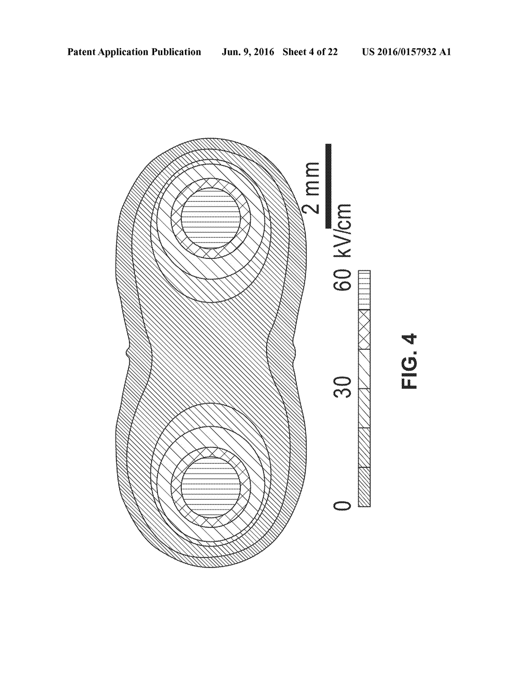 NANOELECTROABLATION CONTROL AND VACCINATION - diagram, schematic, and image 05