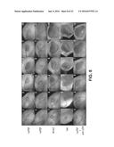 NANOELECTROABLATION CONTROL AND VACCINATION diagram and image