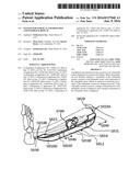 SYSTEM FOR SURGICAL INFORMATION AND FEEDBACK DISPLAY diagram and image