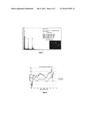 DELIVERY METHOD FOR BIODEGRADABLE STENTS diagram and image