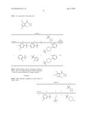 Compositions and Methods for Stimulating Collagen Synthesis in the Skin diagram and image