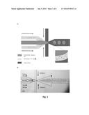 ON DEMAND VESICLE FORMATION FROM VESICLE PRECURSORS SUITABLE FOR LONG-TERM     STORAGE diagram and image