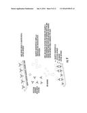 MAGNETIC NANOPARTICLES USEFUL FOR MAGNETIC SENSOR DETECTION ESPECIALLY IN     BIOSENSOR APPLICATIONS diagram and image