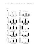 NOVEL USE FOR PAI-1 INHIBITOR diagram and image